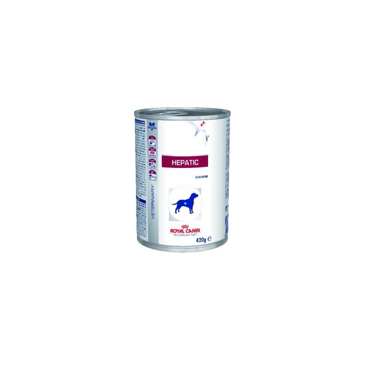 Veterinary Dc Wet Hépatique 420g