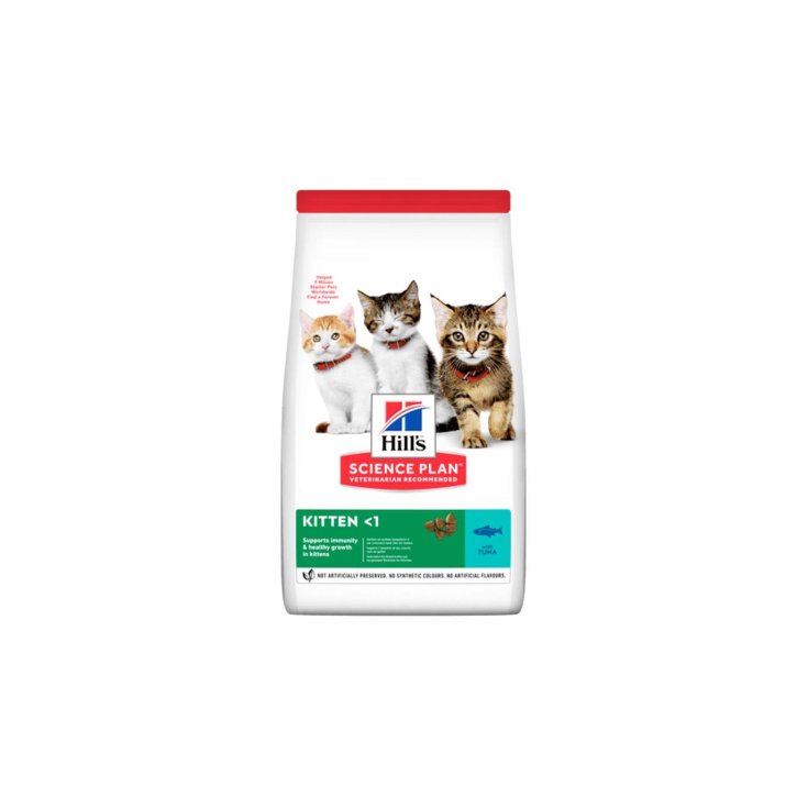 CHATON FÉLIN 300 GR THON