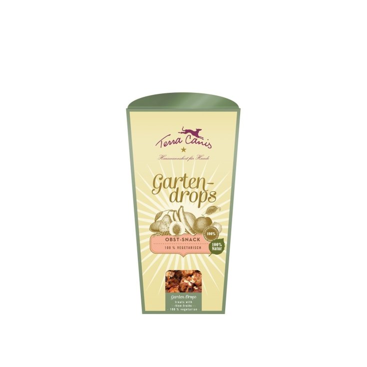 BISCUIT AUX FRUITS TERRA CANIS 250G