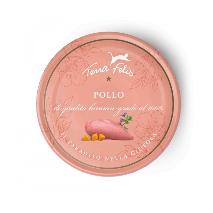 POULET TERRA FELIS 80G