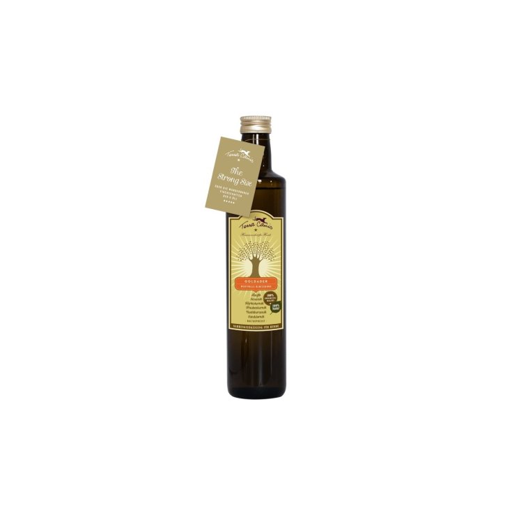HUILE DE VEINE D'OR TERRA CANIS 250ML