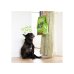 E&C CHIEN ADULTE D AGNEAU 700G