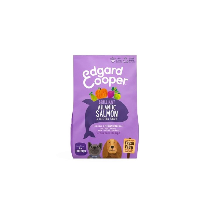 E&C CHIEN CHIOT D SALM/TURK700G