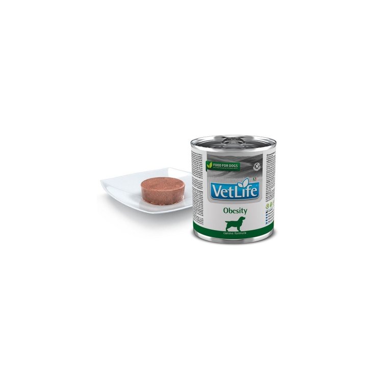 VET LIFE NAT DIET CHIEN OBES300G