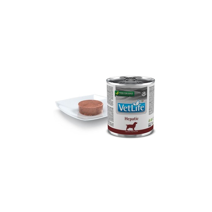 VET LIFE NAT DIET CHIEN HEPA300G