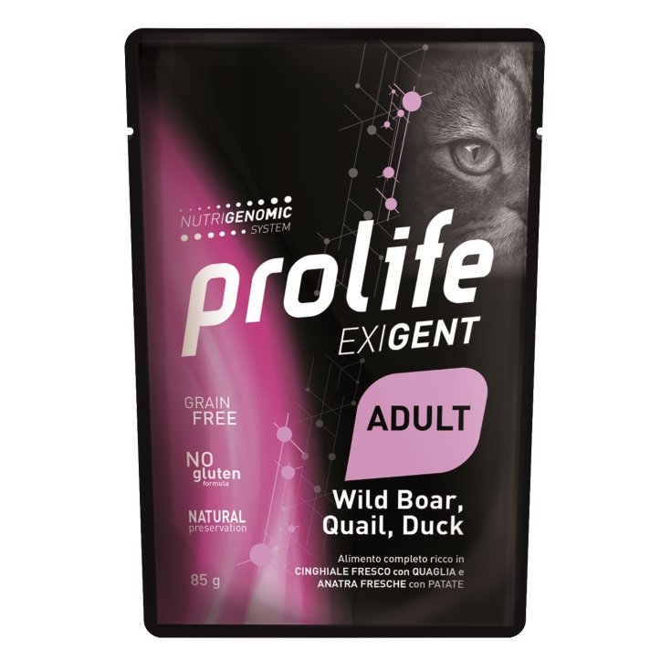 PROLIFE CHAT EXIG AD WILD BO85G