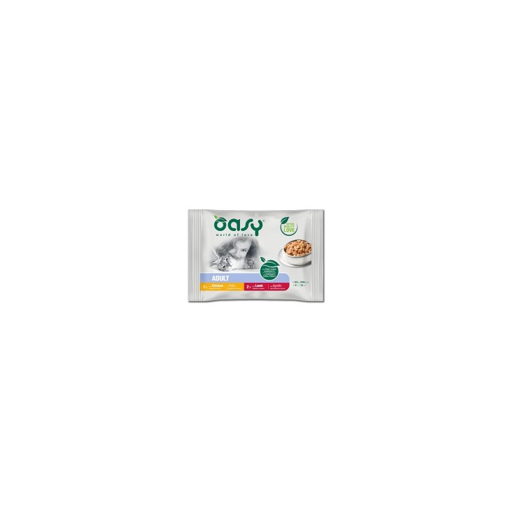 OASY WET CAT BOCCONC AD MEAT4P