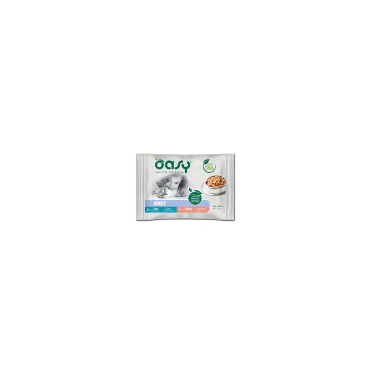 OASY WET CAT BOUCHE CONC AD FISH4P