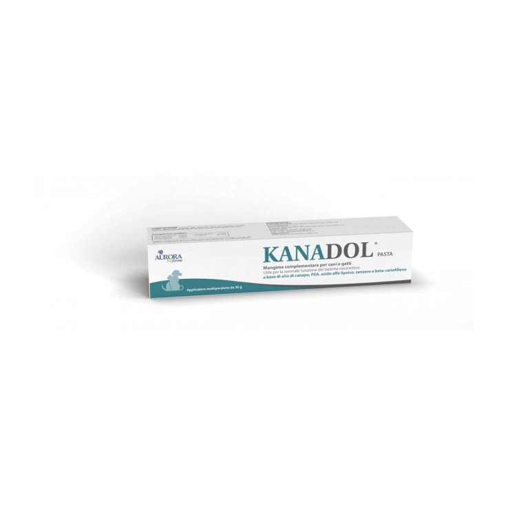 PÂTES KANADOL 30G