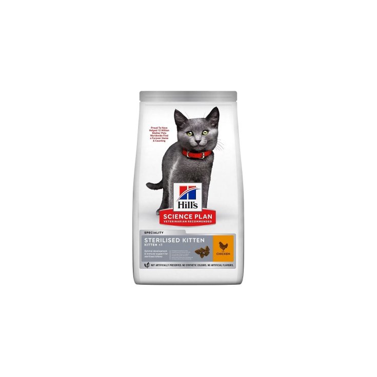 SP FELIN CHATON ST POUSSIN 300G