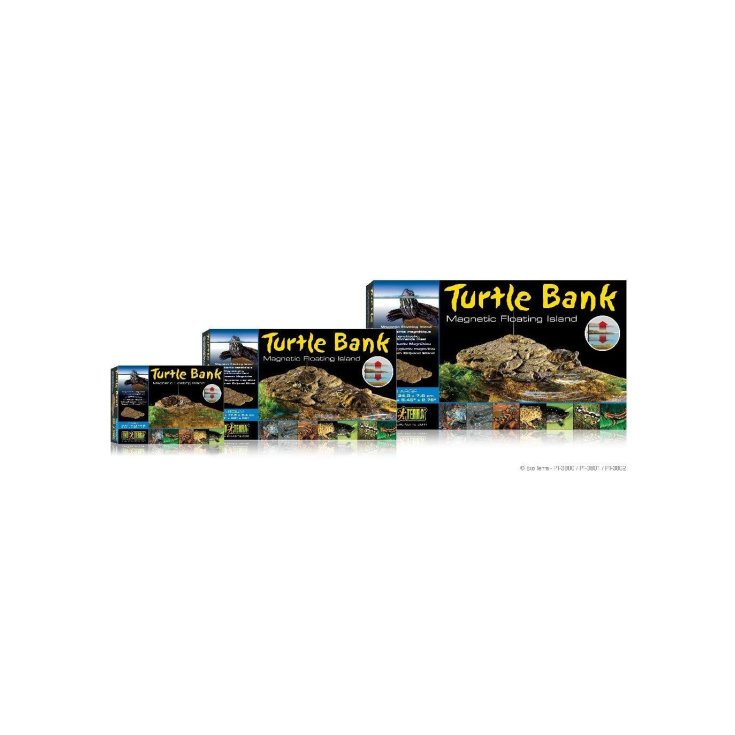 ÎLE DE LA TORTUE MOYENNE PT-3801
