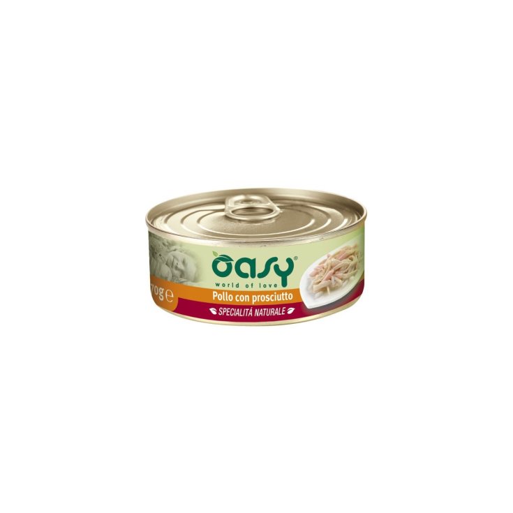 POULET OASY WET CAT AU JAMBON