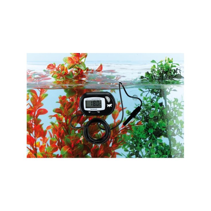 BLEU 9197 THERMOMÈTRE DIG.ÉLECTRONIQUE