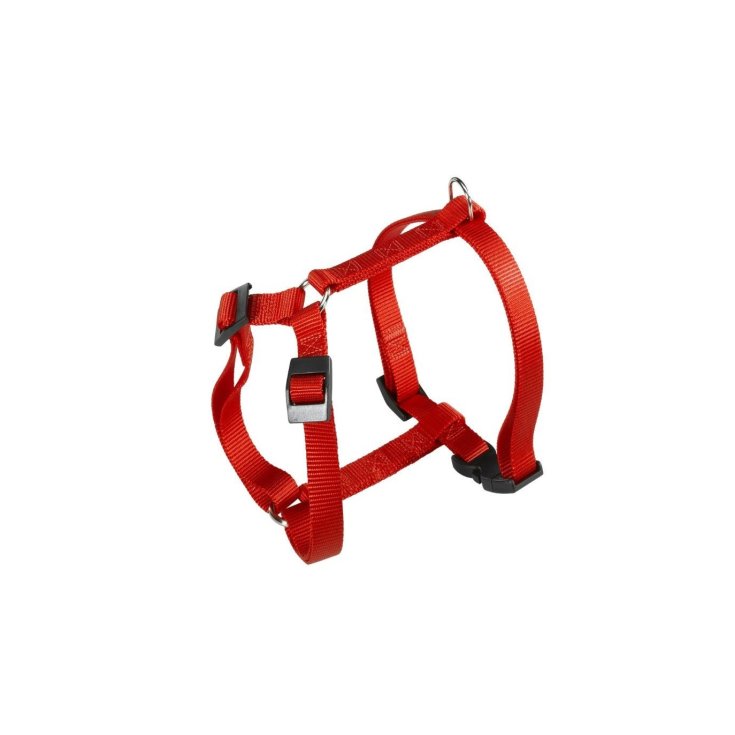 CHAMPION P PETIT PETTT ROUGE.