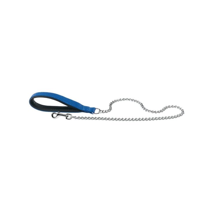 DAYTONA GM25/100 BLEU CHROME