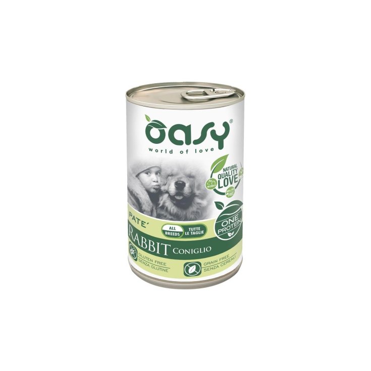 OASY WET DOG UN LAPIN 400G