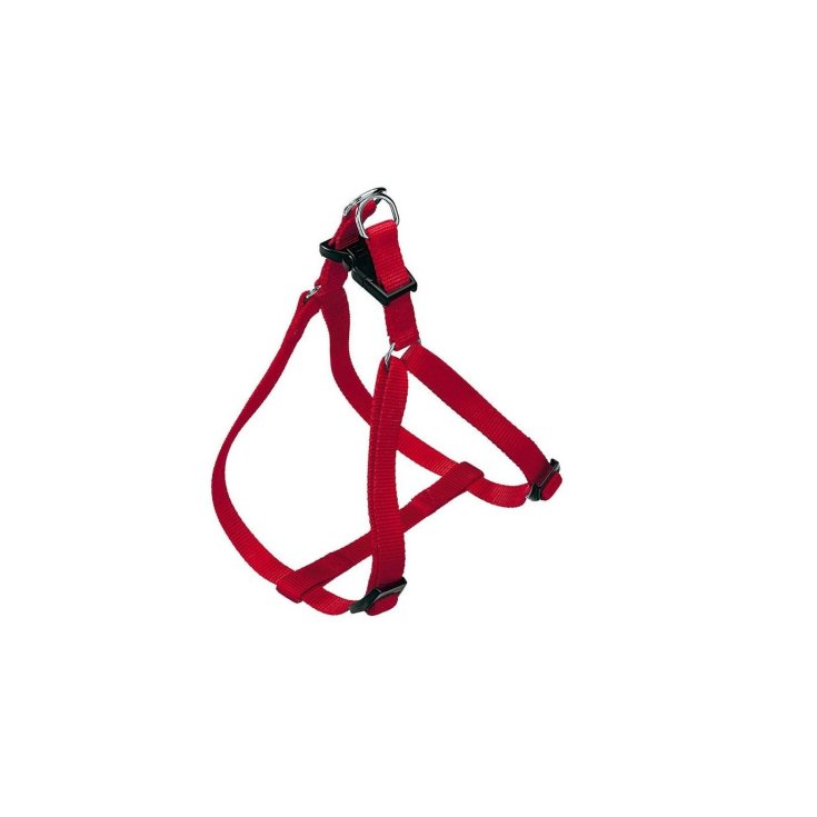 EASY P EX.LARGE PEIGNE ROUGE.