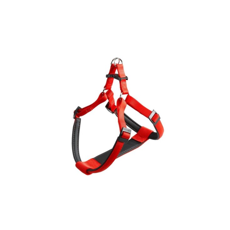 DAYTONA P PETIT ROUGE