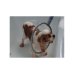 LAVAGE CONFORT 360 PETIT