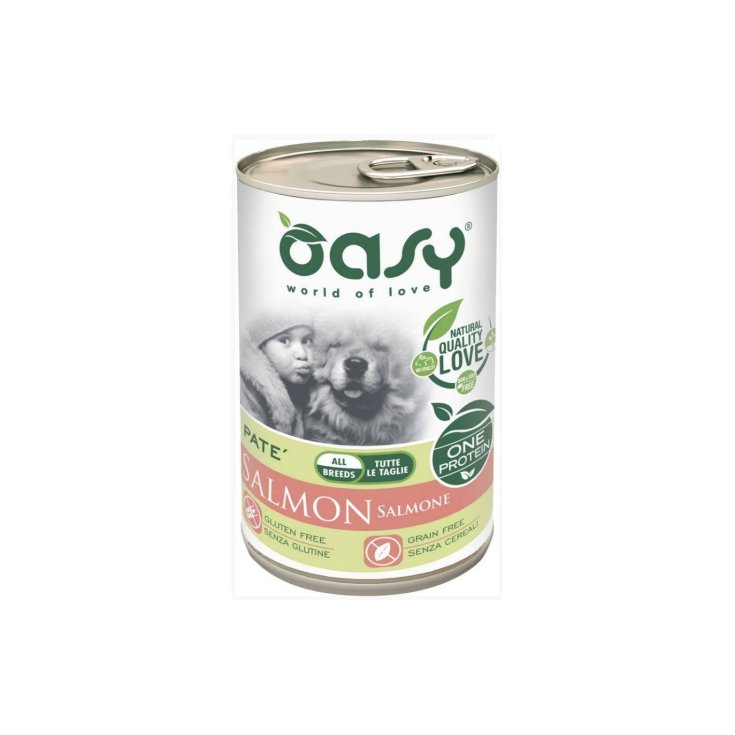 OASY WET DOG UN SAUMON 400G