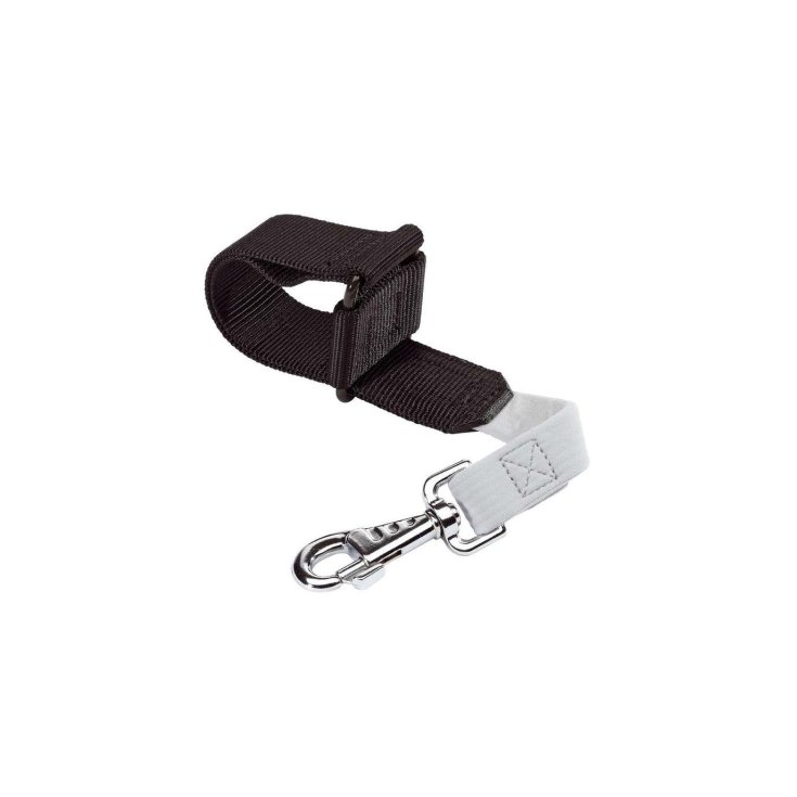 CEINTURE DE VOYAGE POUR CHIEN NOIRE