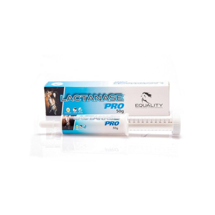 Lactanase Pro Pâte Orale Seringue pour Cheval Athlète 50g