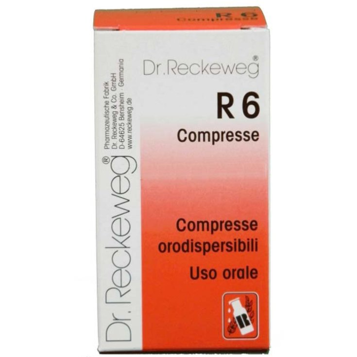 Dr. Reckeweg R6 Remède Homéopathique 100 Comprimés De 0,1g