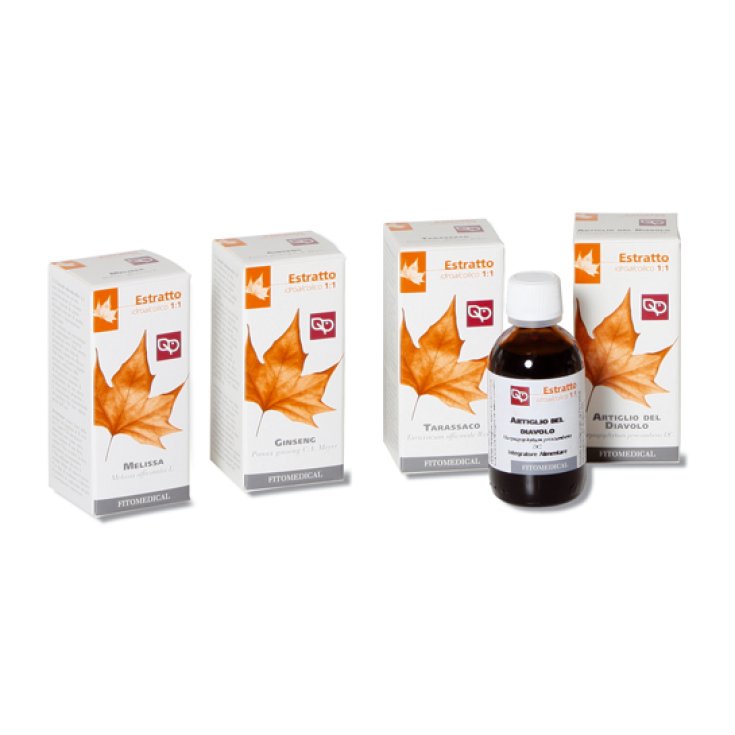 Selerbe Ginseng Extrait Fluide 1kg