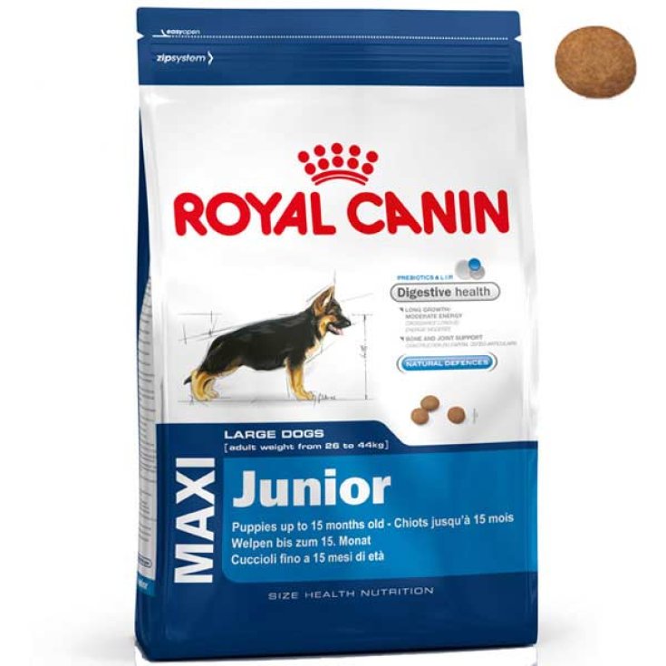 Royal Canin Size Health Nutrition Maxi Junior Croquettes pour Chien 4 kg