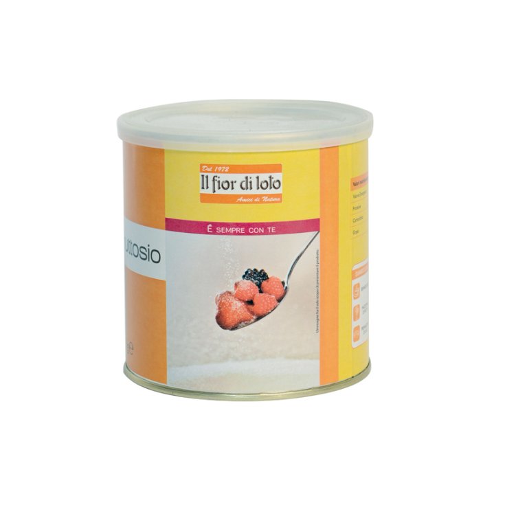 Fior Di Loto Fructose Bio 500g