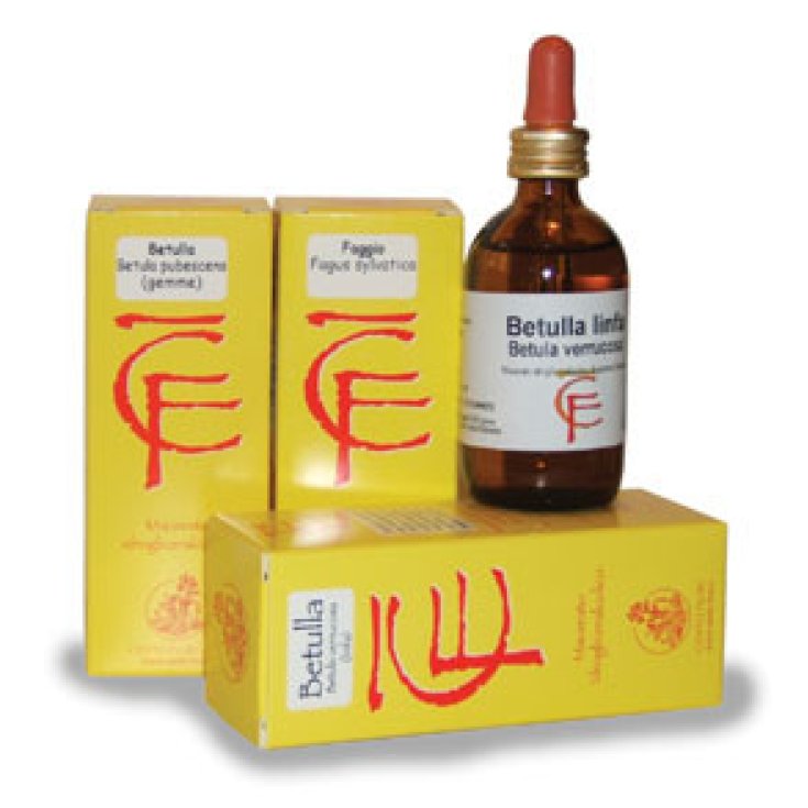 Figue Gemmes 50ml Mg