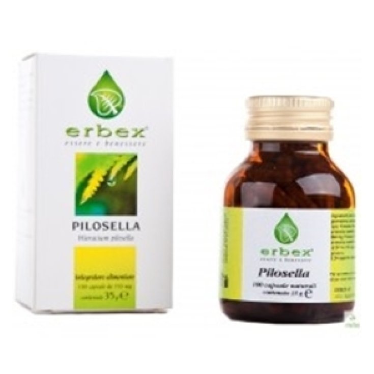 Erbex Pilosella Complément Alimentaire 100 Gélules 350mg
