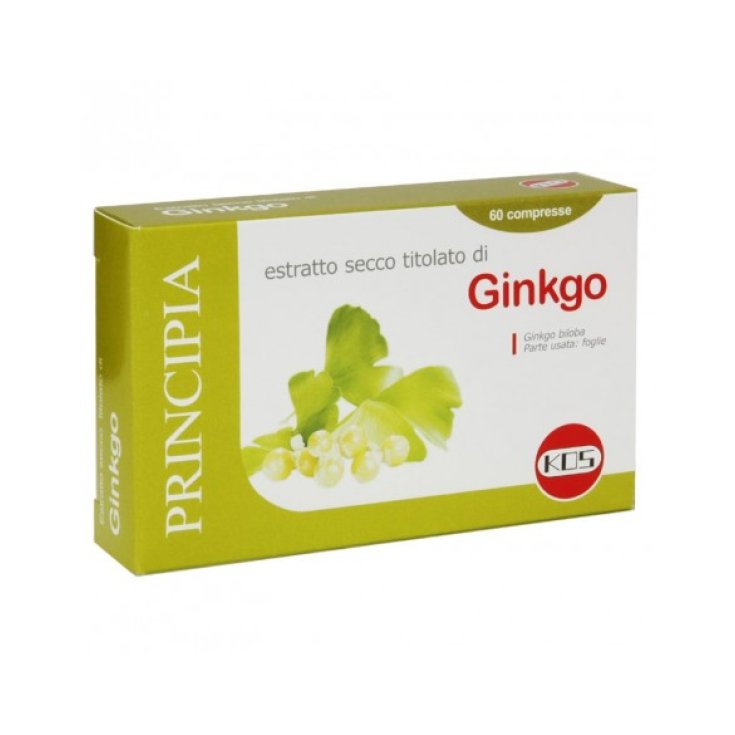 Kos Ginkgo Biloba Extrait Sec 60 Comprimés