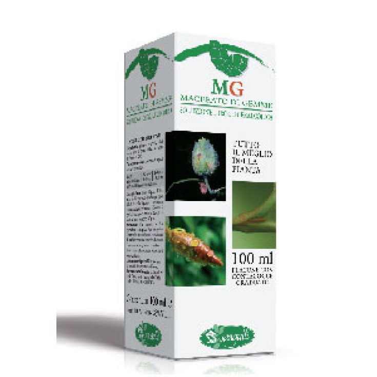 Séquoia 100ml Mg