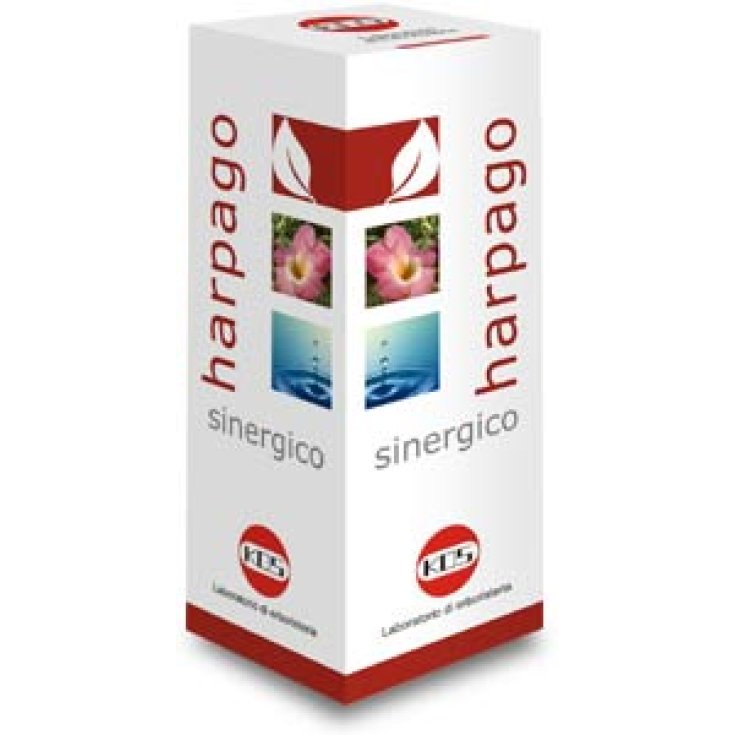 Kos Harpago Gouttes Synergiques 100ml