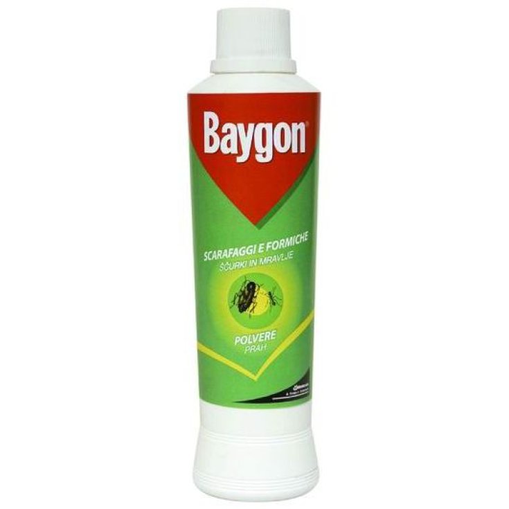 BAYGON POUDRE S & F 250 GR