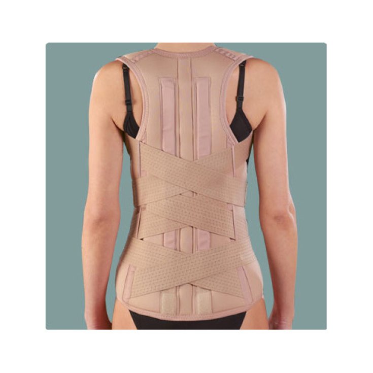 Ro + ten Lem Corset Dos-Lombaire Avec Bretelles PR1-1036 Taille M