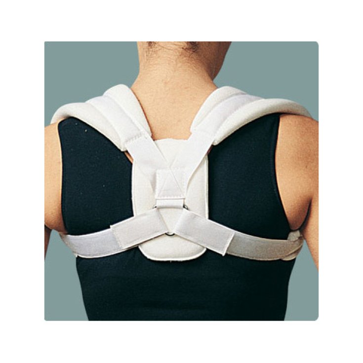 Ro + ten Octofix Clavicule Immobilisateur PR2-8503 Taille M