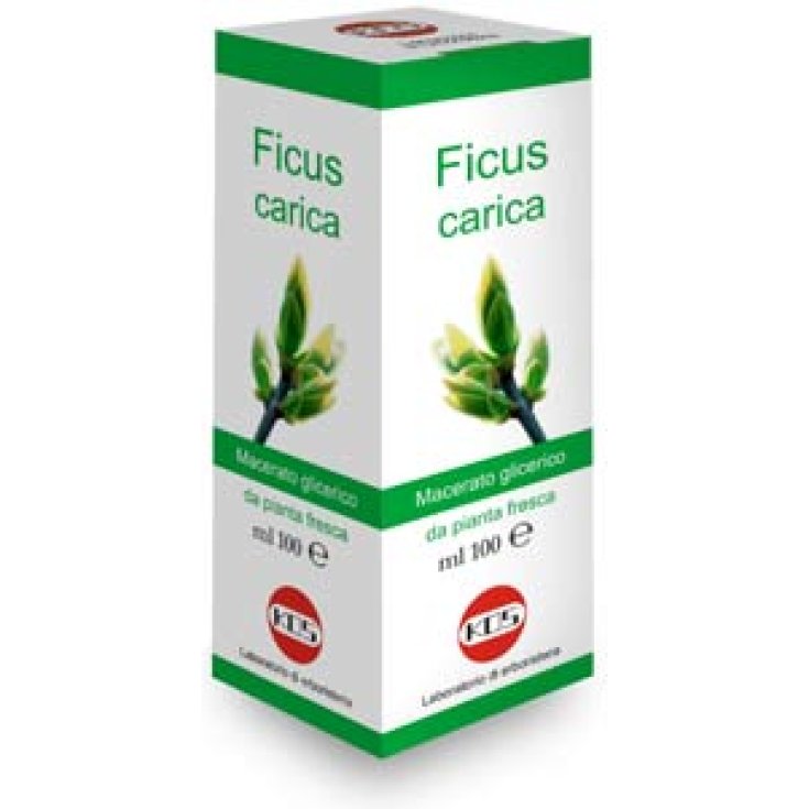 Kos Ficus Upload Gouttes Mg Complément Alimentaire 100 ml