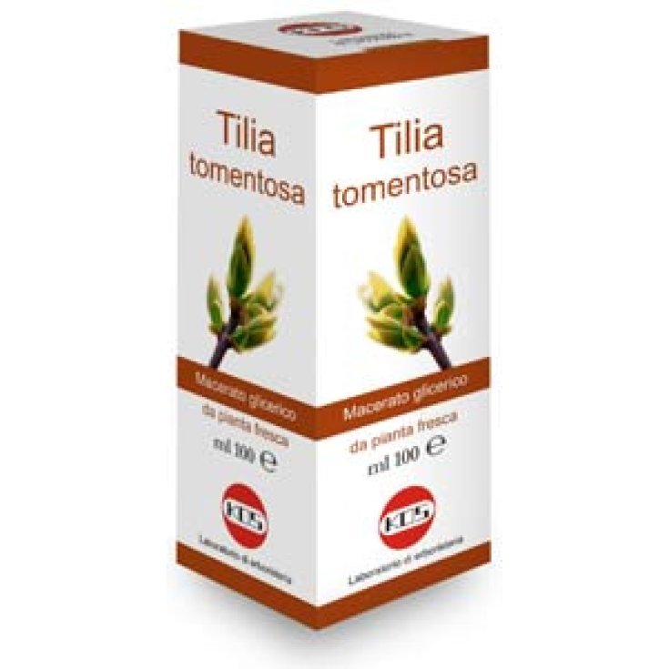 Kos Tilia Tomentosa Macérat glycériné 100ml