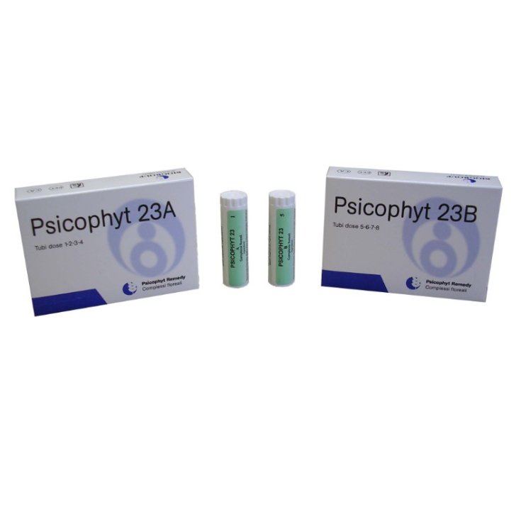 Biogroup Psicophyt Remedy 23b Granulés 5g