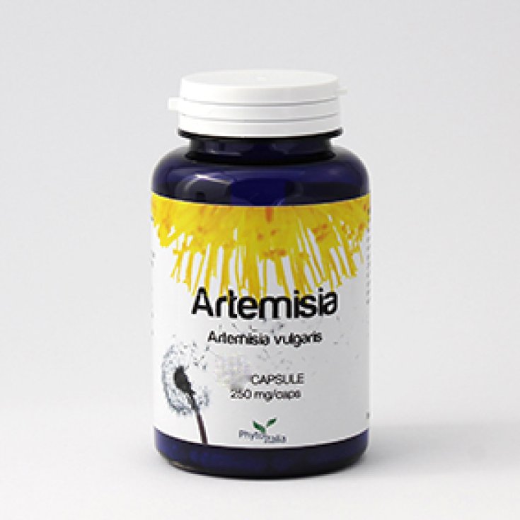 Phytoitalia Artemisia Complément Alimentaire 60 Gélules