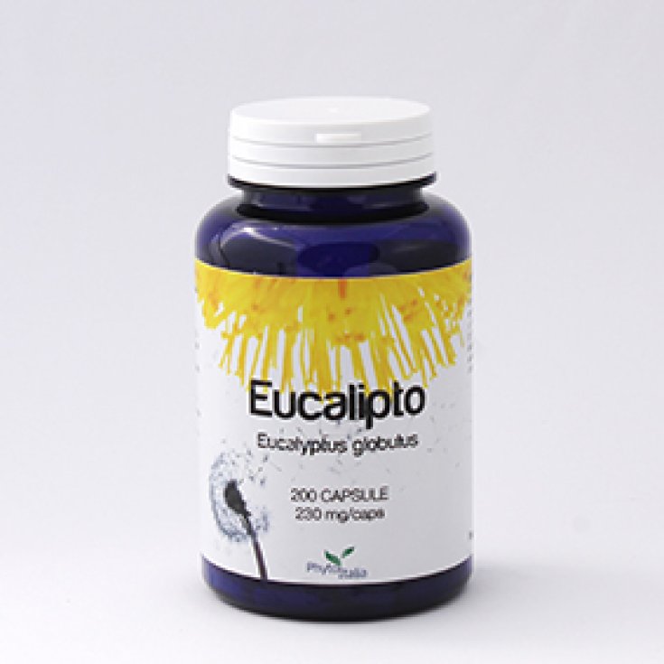 Phyto Italia Eucalyptus Intégrateur Alimentaire 60 Comprimés