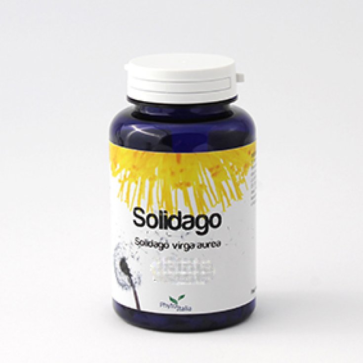 Phytoitalia Solidago Complément Alimentaire 60 Gélules