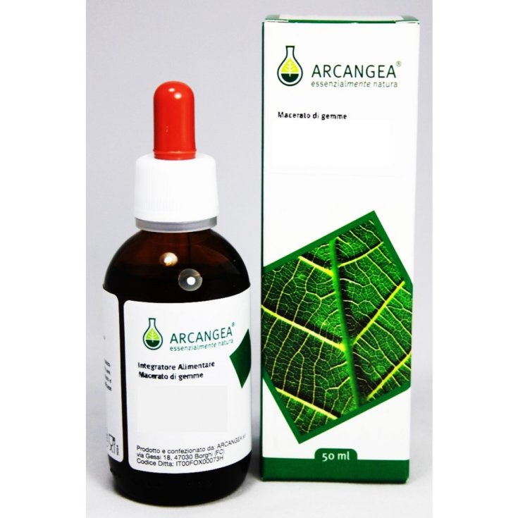 Arcangea Tilia Tomentosa extrait de bourgeon 100ml