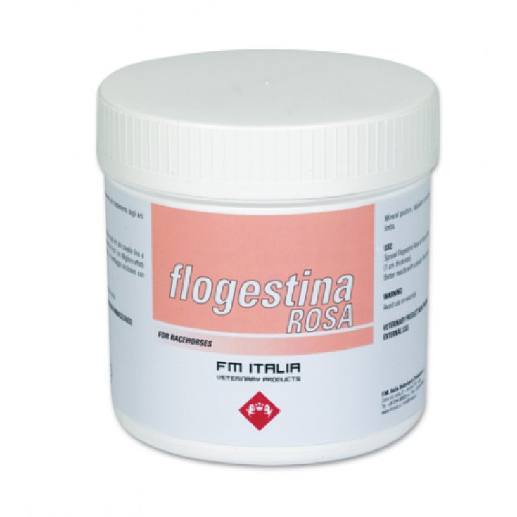 FM Italia Flogestine Rosa Pâtes 1kg