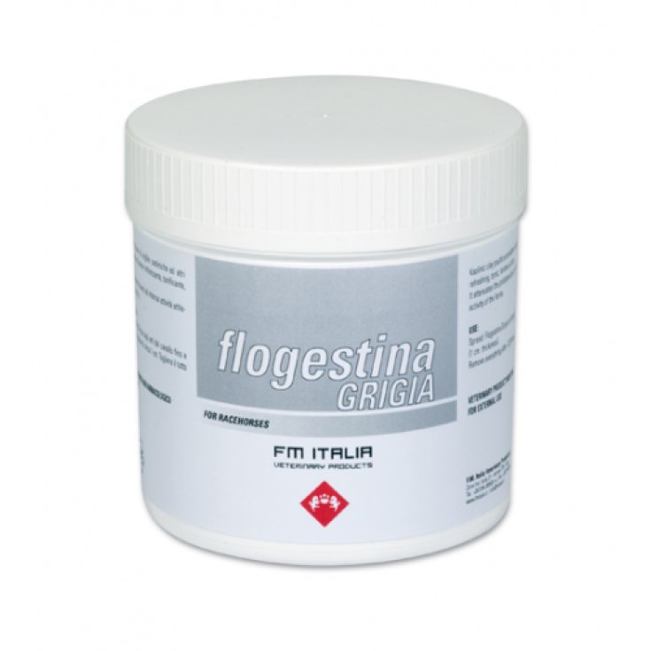 FM Italia Flogestina Pâte Minérale Grise Pour Chevaux 1kg