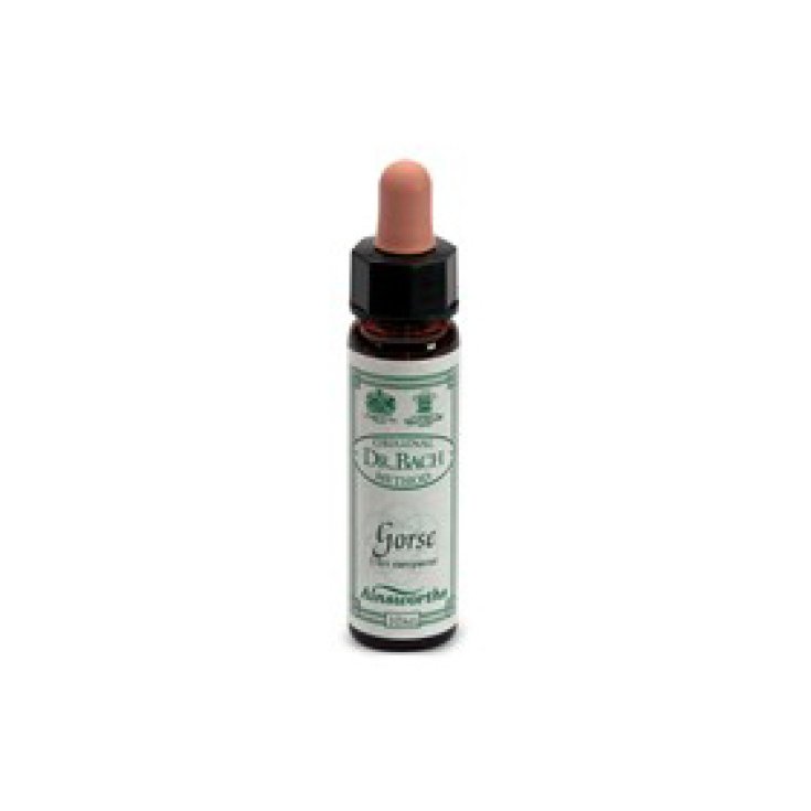 Santiveri Ainsworths Ajonc Fleurs de Bach 10ml