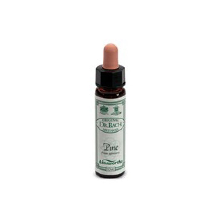 Santiveri Ainsworths Pin Fleurs de Bach 10 ml