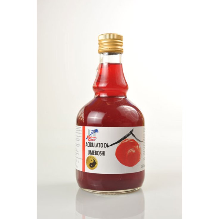 La Fenêtre Dans Le Ciel Acidulée Par Umeboshi Macrobiotique 500 ml